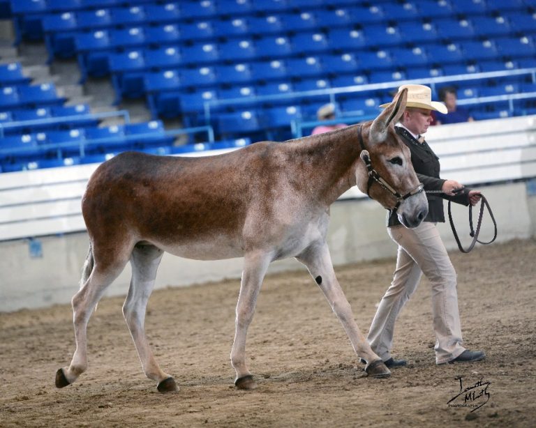 Maya Del Rey Genesis Farms Jacks